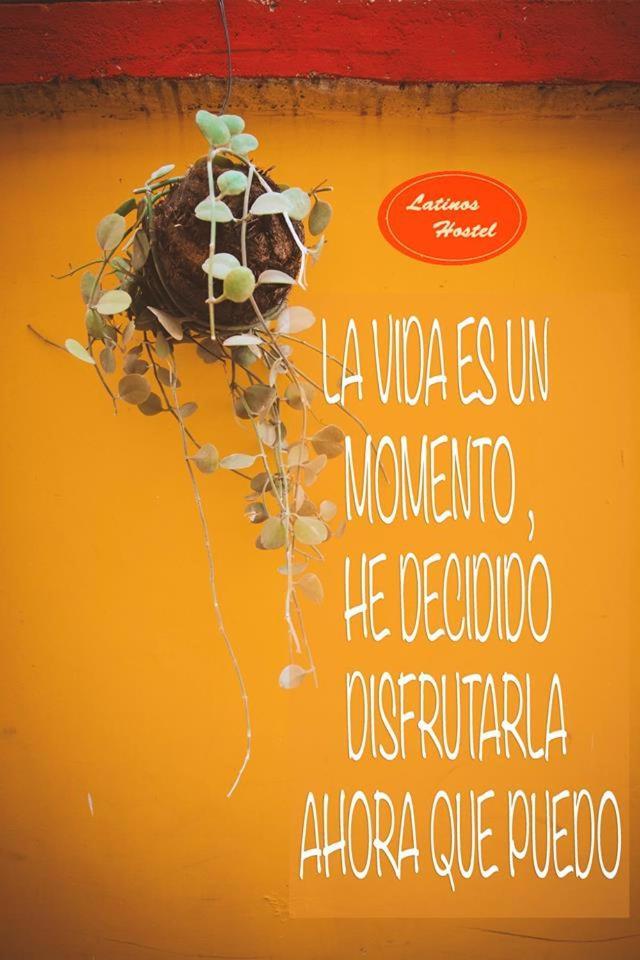 Latinos Hostel Σιέμ Ρέαπ Εξωτερικό φωτογραφία